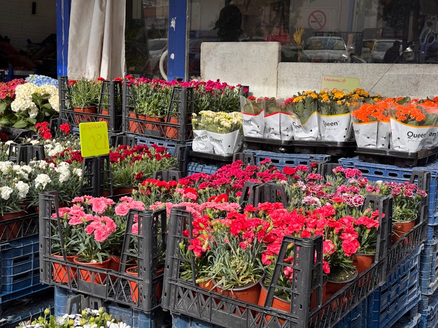 Photograph of an outdoor flower market display featuring numerous potted flowers arranged in black plastic crates. In the foreground, vibrant pink and red carnations are prominently displayed, their p